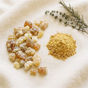 Boswellia Serrata